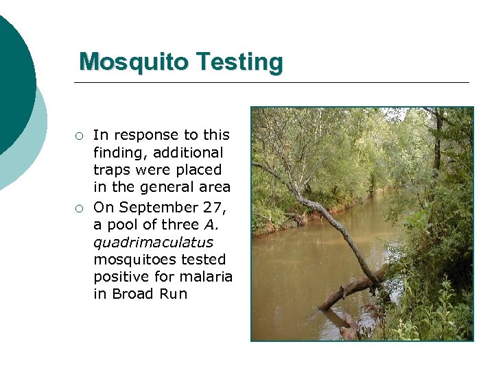 Mosquito Testing ¡ ¡ In response to this finding, additional traps were placed in