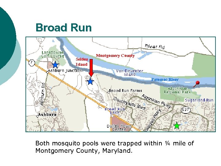 Broad Run Selden Island Montgomery County Potomac River Both mosquito pools were trapped within