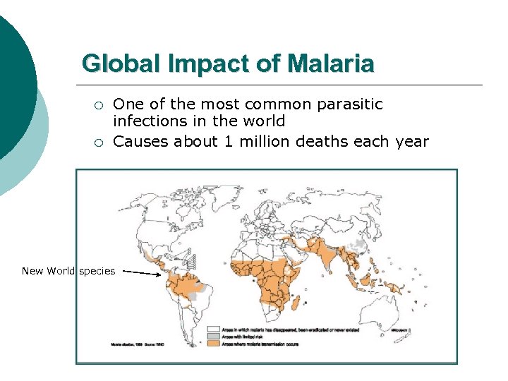 Global Impact of Malaria ¡ ¡ One of the most common parasitic infections in
