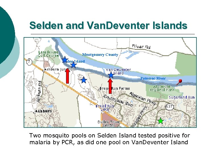 Selden and Van. Deventer Islands Montgomery County Selden Island Potomac River Two mosquito pools