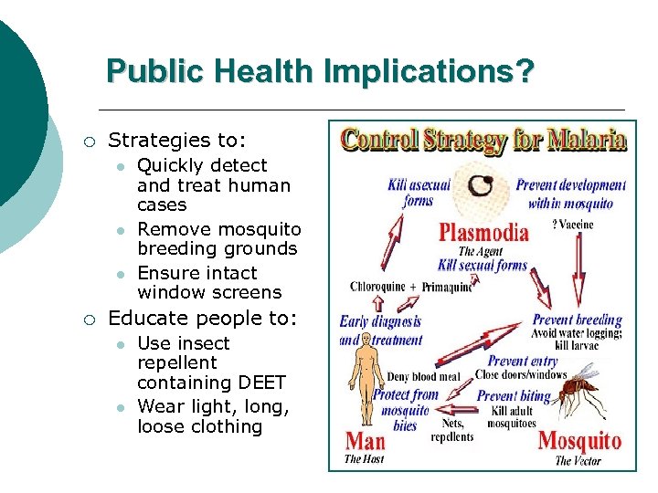 Public Health Implications? ¡ Strategies to: l l l ¡ Quickly detect and treat