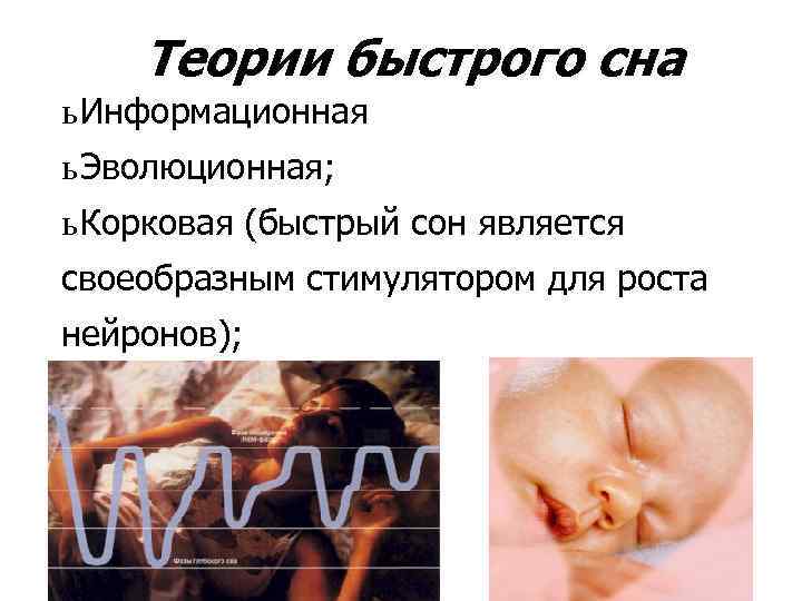 Теории быстрого сна ь Информационная ь Эволюционная; ь Корковая (быстрый сон является своеобразным стимулятором