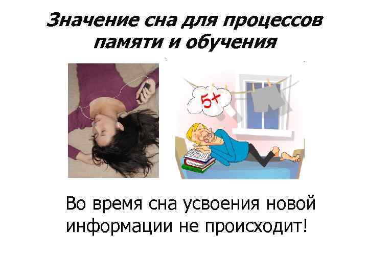 Значение сна для процессов памяти и обучения Во время сна усвоения новой информации не