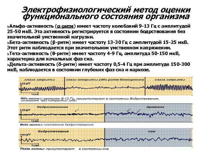 Электрофизиологический метод оценки функционального состояния организма ь Альфа-активность (α-ритм) имеет частоту колебаний 9 -13