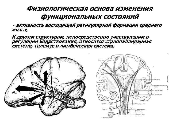 Коррекция функциональных состояний обоснование схемы и показания к применению