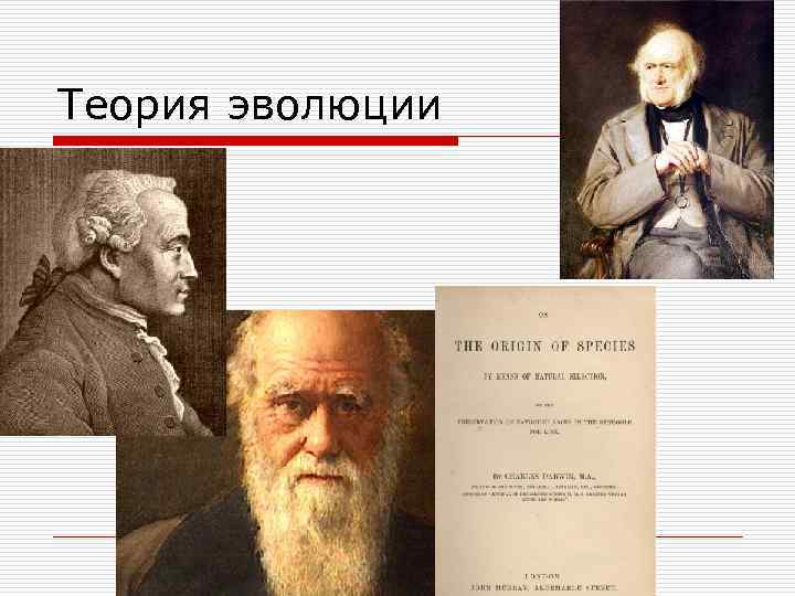 Теория эволюции 