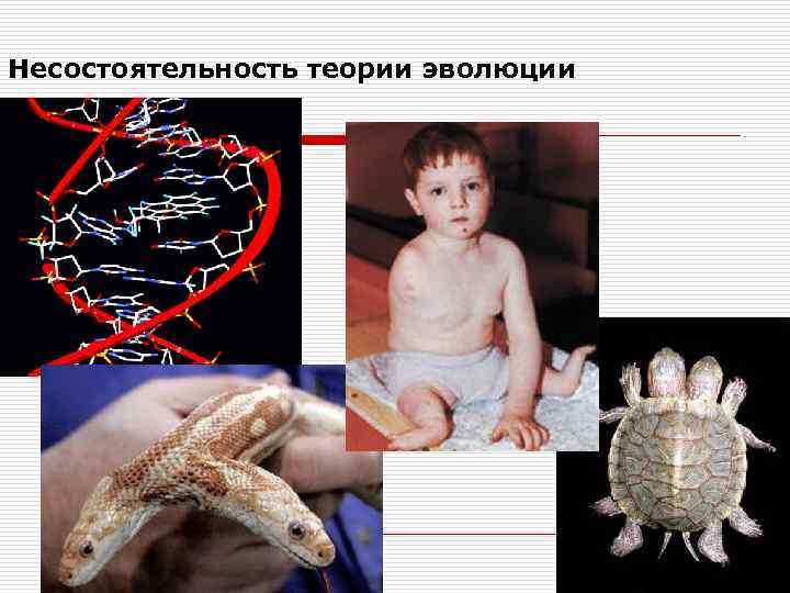 Несостоятельность теории эволюции 