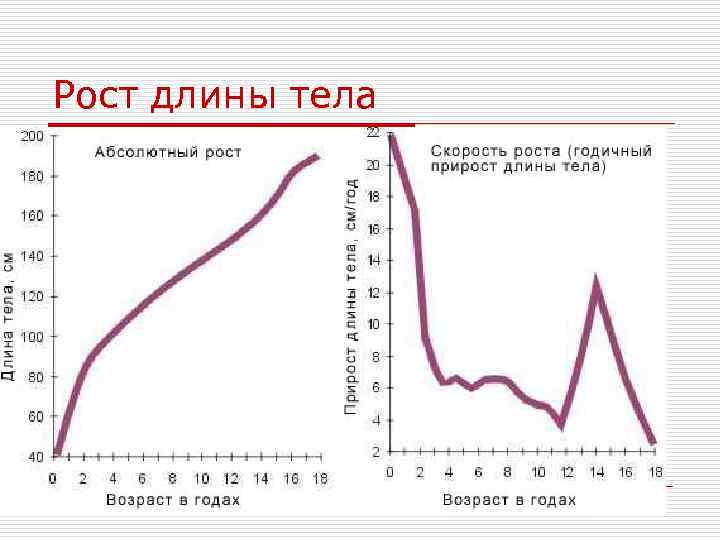 Рост длины тела 