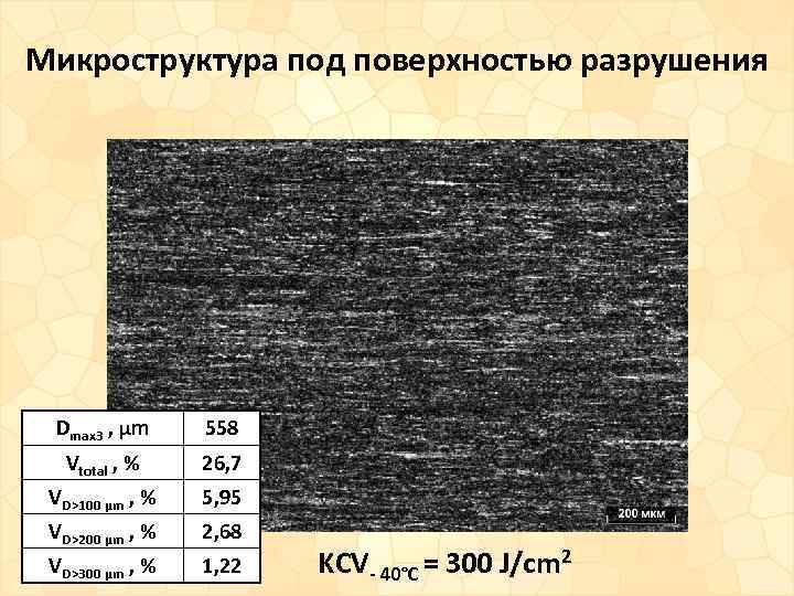 Микроструктура под поверхностью разрушения Dmax 3 , μm 558 Vtotal , % 26, 7