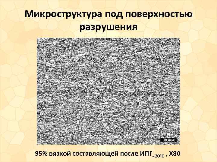 Микроструктура под поверхностью разрушения 95% вязкой составляющей после ИПГ- 20°С , X 80 