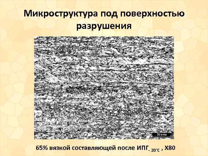 Микроструктура под поверхностью разрушения 65% вязкой составляющей после ИПГ- 20°С , X 80 