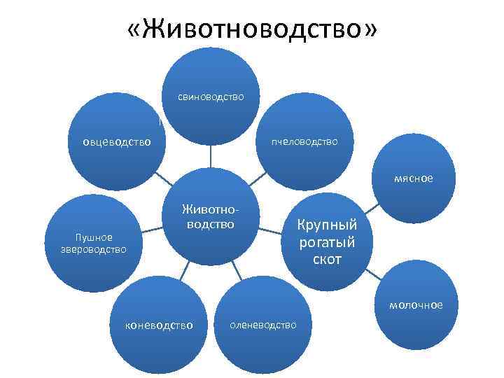  «Животноводство» свиноводство овцеводство пчеловодство мясное Пушное звероводство Животноводство Крупный рогатый скот молочное коневодство