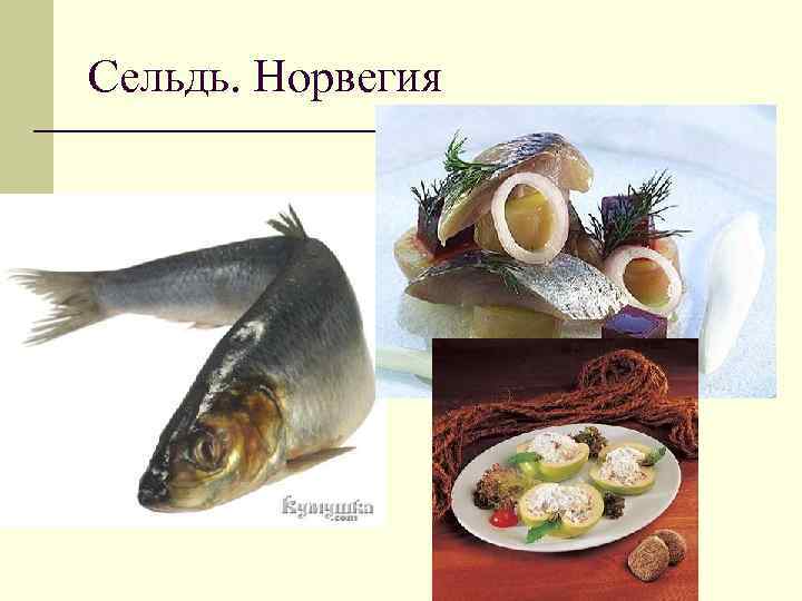 Сельдь. Норвегия 