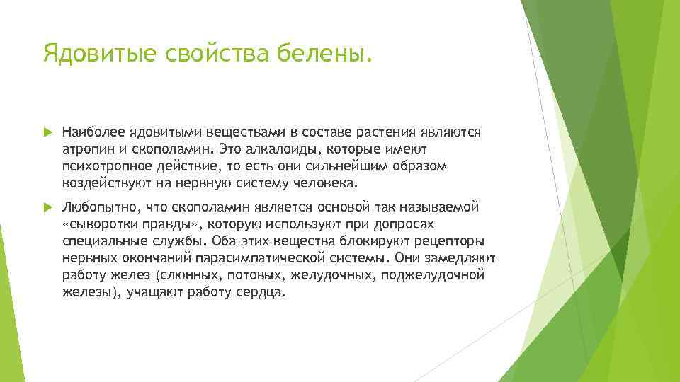 Ядовитые свойства белены. Наиболее ядовитыми веществами в составе растения являются атропин и скополамин. Это