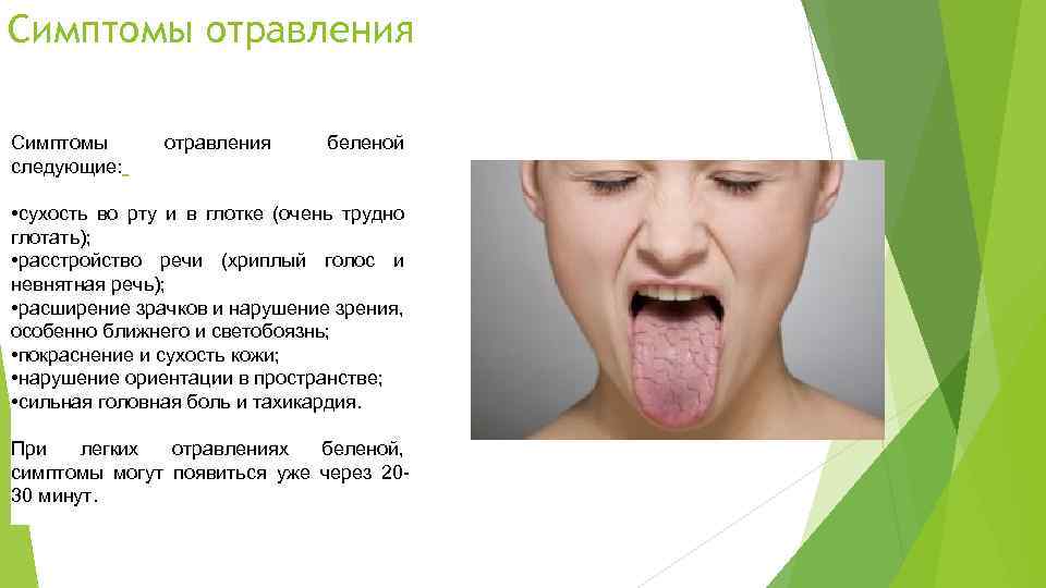 Симптомы отравления беленой следующие: • сухость во рту и в глотке (очень трудно глотать);