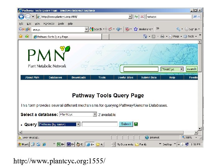 http: //www. plantcyc. org: 1555/ 