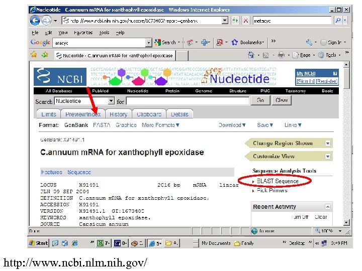 http: //www. ncbi. nlm. nih. gov/ 