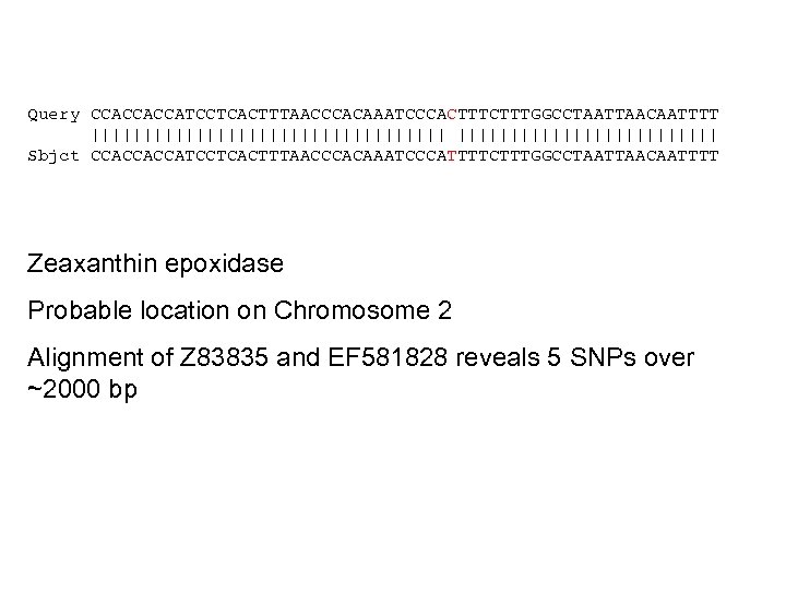 Query CCACCACCATCCTCACTTTAACCCACAAATCCCACTTTGGCCTAATTAACAATTTT ||||||||||||||||| Sbjct CCACCACCATCCTCACTTTAACCCACAAATCCCATTTTCTTTGGCCTAATTAACAATTTT Zeaxanthin epoxidase Probable location on Chromosome 2 Alignment of