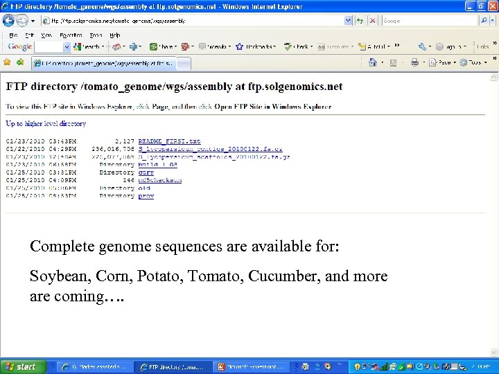 Complete genome sequences are available for: Soybean, Corn, Potato, Tomato, Cucumber, and more are