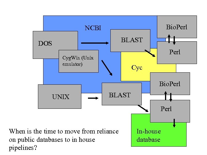 Bio. Perl NCBI BLAST DOS Perl Cyg. Win (Unix emulator) Cyc Bio. Perl UNIX