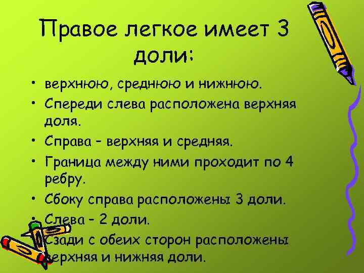 Правое легкое имеет 3 доли: • верхнюю, среднюю и нижнюю. • Спереди слева расположена