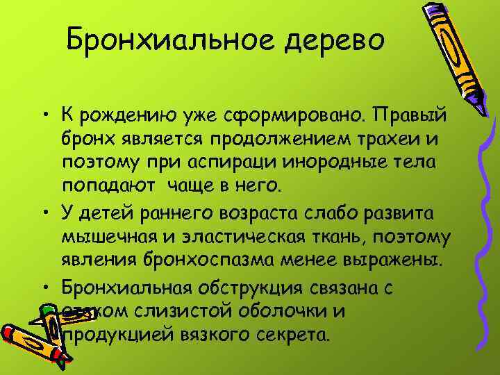 Бронхиальное дерево • К рождению уже сформировано. Правый бронх является продолжением трахеи и поэтому