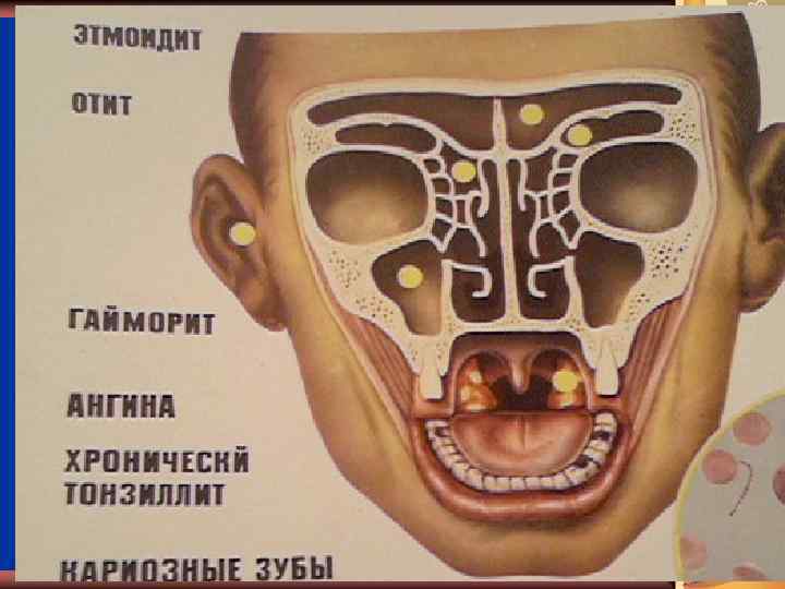 Григорьева Н. В. 2008 г 