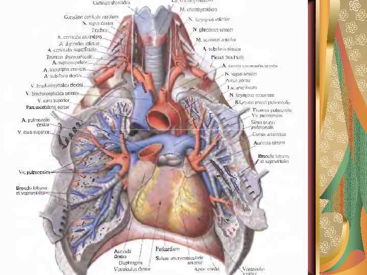 Григорьева Н. В. 2008 г 