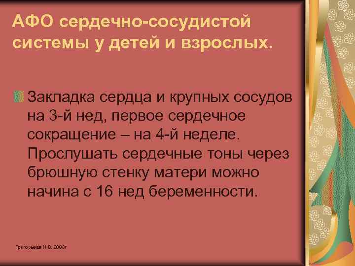 АФО сердечно-сосудистой системы у детей и взрослых. Закладка сердца и крупных сосудов на 3