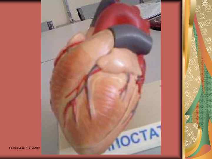Григорьева Н. В. 2008 г 