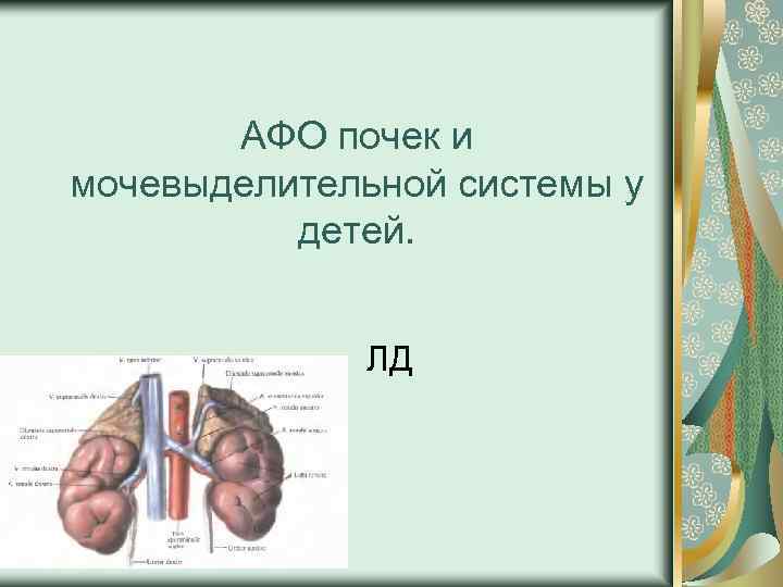 АФО почек и мочевыделительной системы у детей. ЛД 