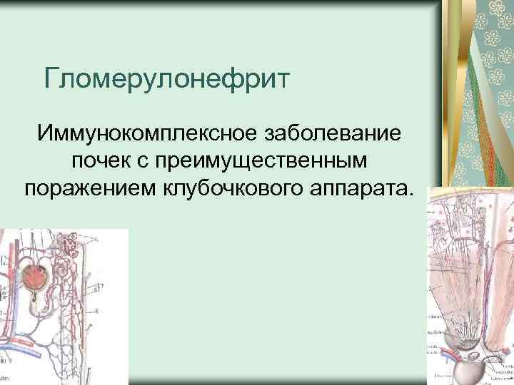 Гломерулонефрит Иммунокомплексное заболевание почек с преимущественным поражением клубочкового аппарата. 