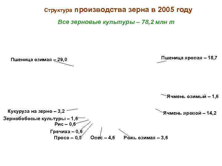 Структура производства зерна в 2005 году Все зерновые культуры – 78, 2 млн т