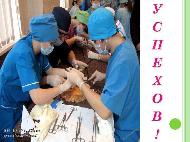 У С П Е Х О В ! 