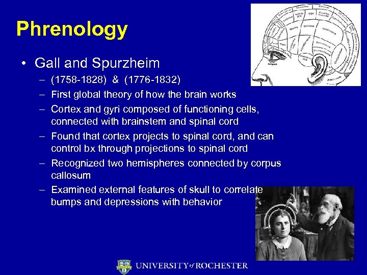 Phrenology • Gall and Spurzheim – (1758 -1828) & (1776 -1832) – First global