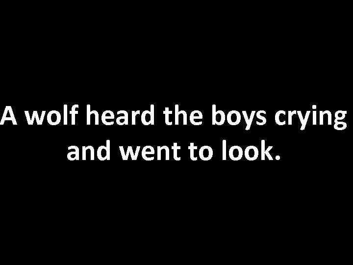 A wolf heard the boys crying and went to look. 