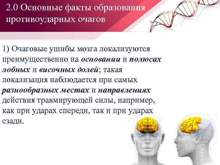 2. 0 Основные факты образования противоударных очагов 1) Очаговые ушибы мозга локализуются преимущественно на
