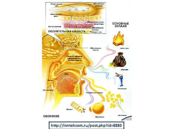 http: //inntehcom. ru/post. php? id=8880 
