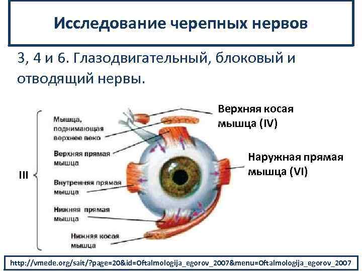 Исследование черепных нервов 3, 4 и 6. Глазодвигательный, блоковый и отводящий нервы. Верхняя косая