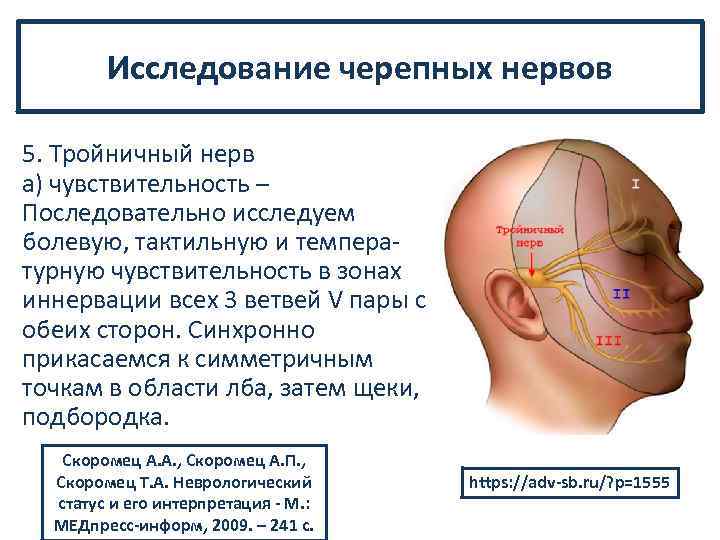 Исследование черепных нервов 5. Тройничный нерв а) чувствительность – Последовательно исследуем болевую, тактильную и