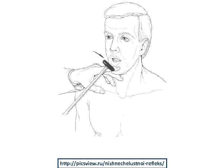 http: //picsview. ru/nizhnechelustnoi-refleks/ 