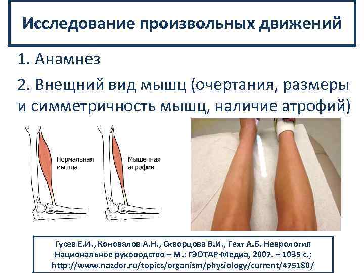 Исследование произвольных движений 1. Анамнез 2. Внещний вид мышц (очертания, размеры и симметричность мышц,