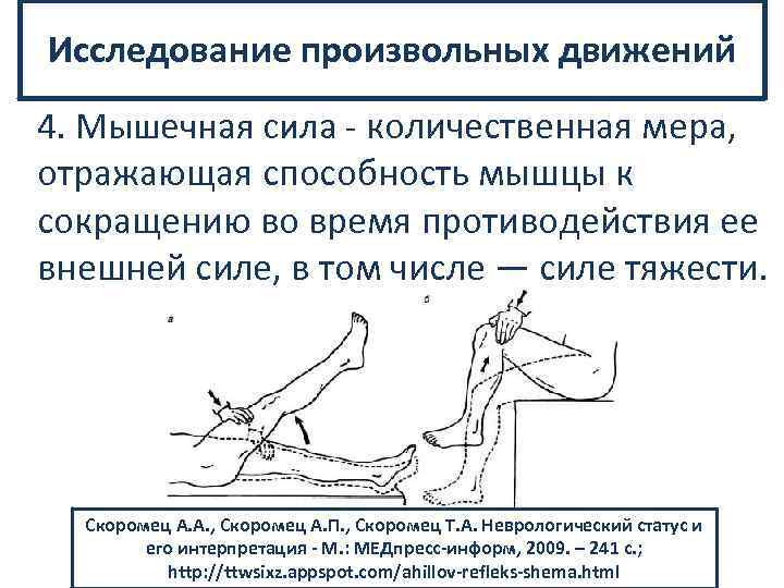 Исследование произвольных движений 4. Мышечная сила количественная мера, отражающая способность мышцы к сокращению во