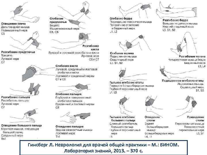 Гинсберг Л. Неврология для врачей общей практики – М. : БИНОМ. Лаборатория знаний, 2013.