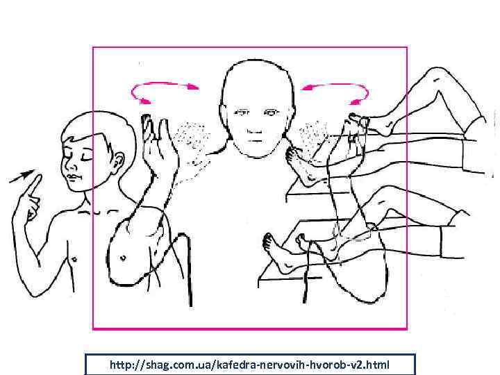 http: //d. 120 -bal. ru/voennoe/10728/index. html? page=5 http: //shag. com. ua/kafedra-nervovih-hvorob-v 2. html 