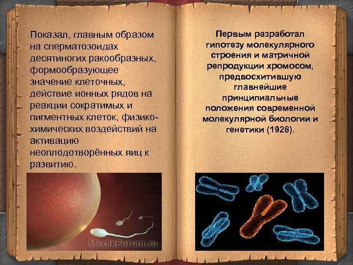 Показал, главным образом на сперматозоидах десятиногих ракообразных, формообразующее значение клеточных, действие ионных рядов на