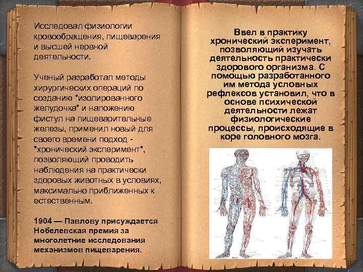 Исследовал физиологии кровообращения, пищеварения и высшей нервной деятельности. Ученый разработал методы хирургических операций по