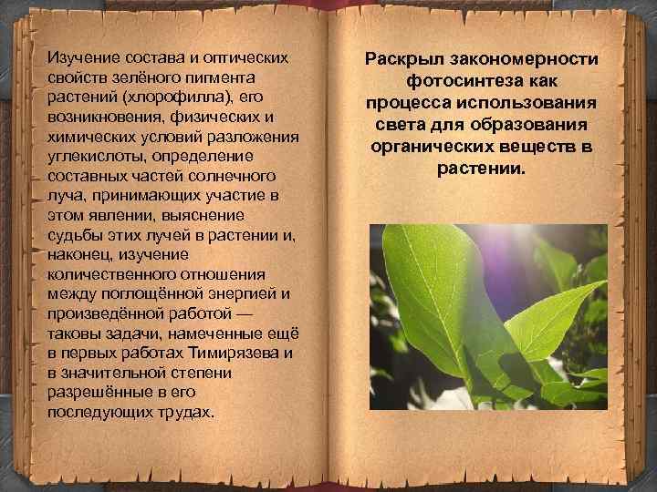 Изучение состава и оптических свойств зелёного пигмента растений (хлорофилла), его возникновения, физических и химических