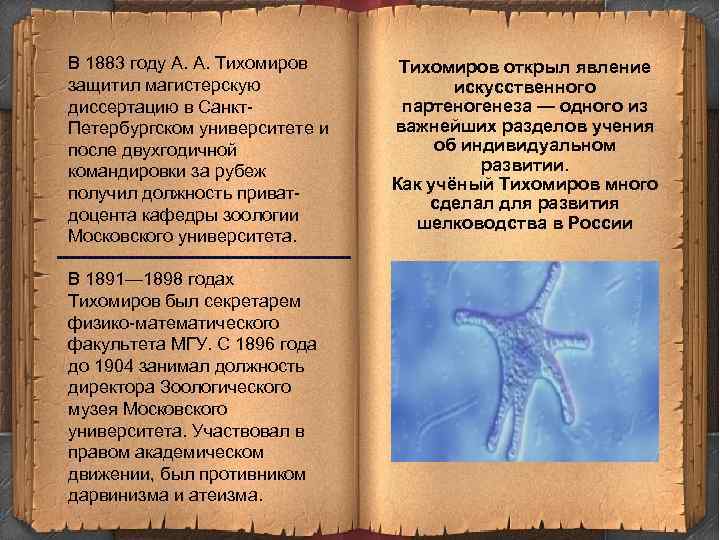 В 1883 году А. А. Тихомиров защитил магистерскую диссертацию в Санкт. Петербургском университете и