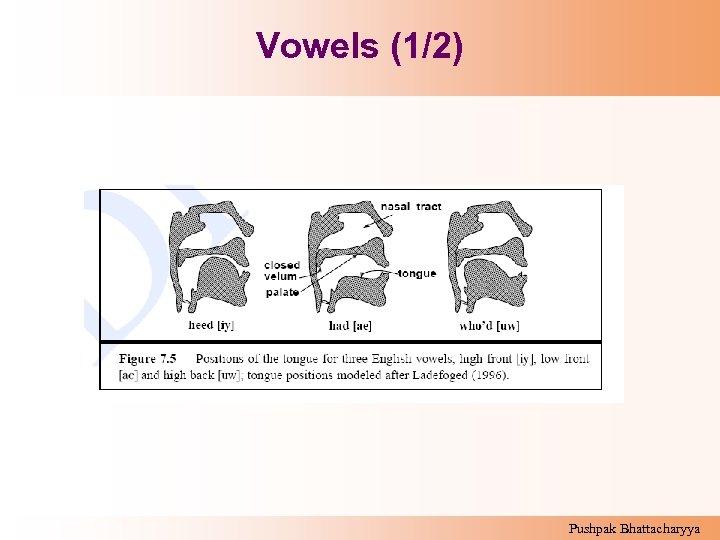 Vowels (1/2) Pushpak Bhattacharyya 